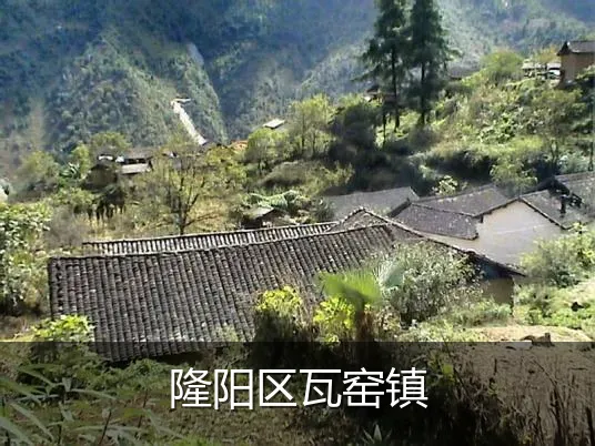 隆阳区瓦窑镇