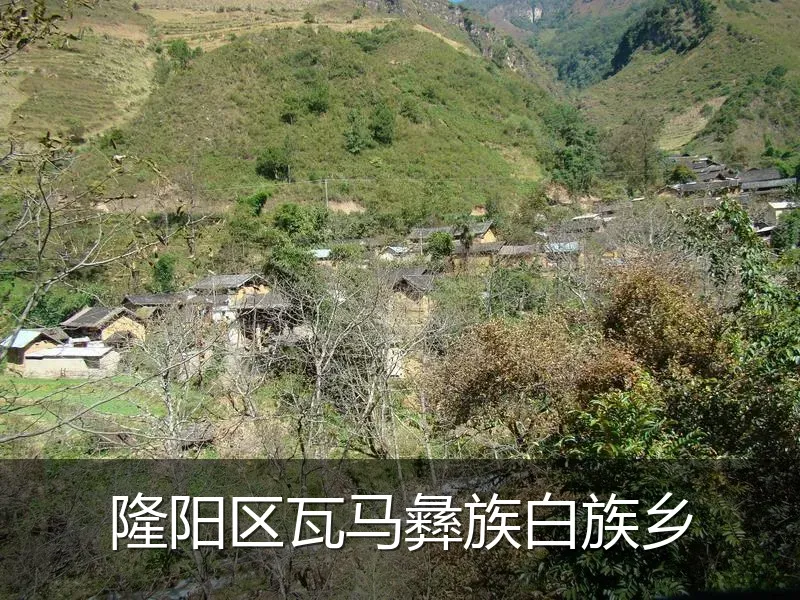 隆阳区瓦马彝族白族乡